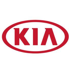 81996-a7020 Kia Genuine Key Blanking Pic