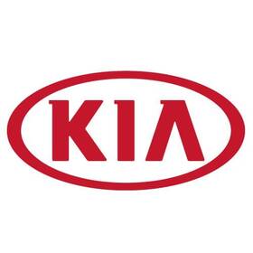 81996-j5000 Kia Genuine Key Blanking Pic